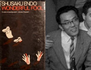 Novels Plot Summary 139 Wonderful Fool