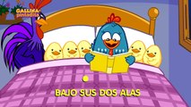 LOS POLLITOS DICEN - Gallina Pintadita - OFICIAL