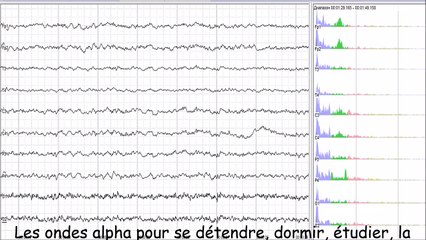 Les ondes alpha pour se détendre, dormir, étudier, la puissance du cerveau, la concentration, la concentration