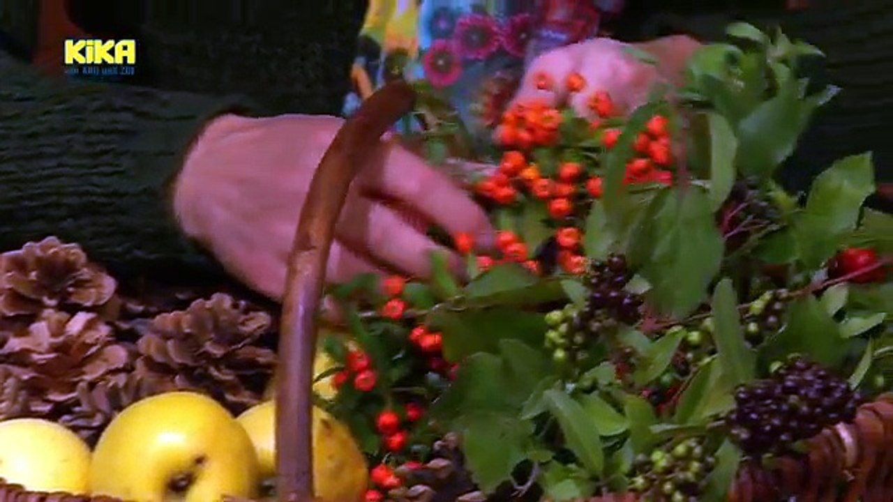 Baumhaus vom 19. Oktober 2016 | Mehr auf KiKA.de