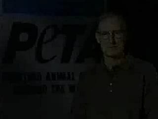 Maltraitance des porcs !