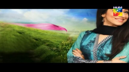 Haya Kay Daman Main Episode 13 Full HUM TV Drama 15 April 2016