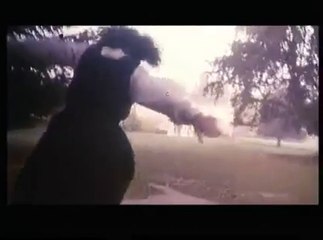 CRÉATURES CÉLESTES - Bande-annonce