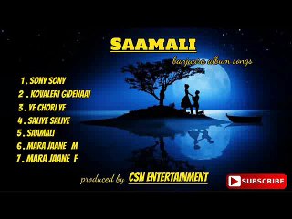 saliye