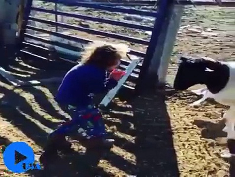 Des animaux qui s'en prennent aux humains