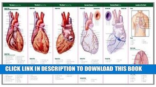 Read Now Anatomical Chart Company s Illustrated Pocket Anatomy: Anatomy of The Heart Study Guide