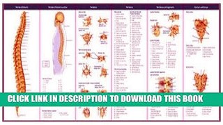 Read Now Anatomical Chart Company s Illustrated Pocket Anatomy: The Vertebral Column   Spine