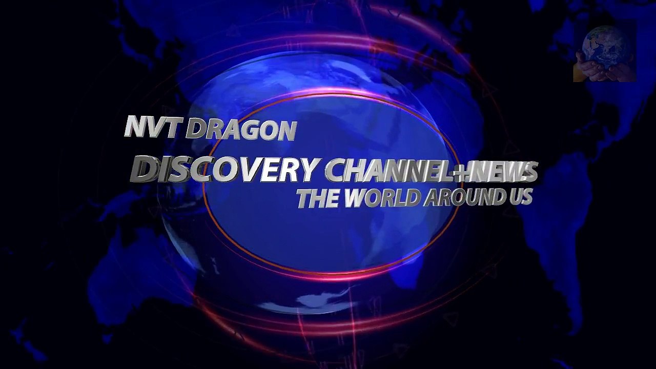 How To Baby Elephant Rescues Man Who Saved Her