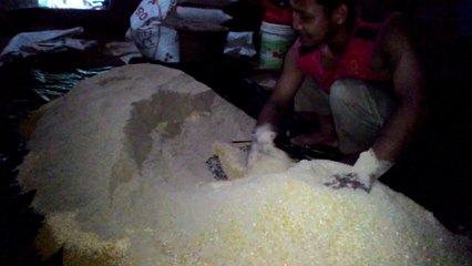 Bahan Pakan Ayam Kampung