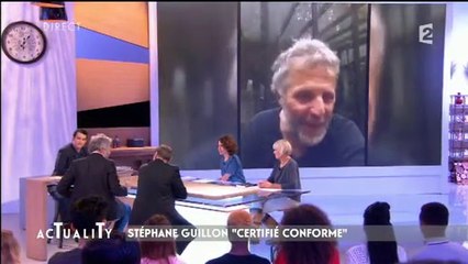 Stéphane Guillon confirme: "Oui, je gagne 10.000 euros par chronique chez Ardisson sur C8 et je l'assume !"