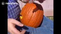 Man creates DIY solar powered pumpkin