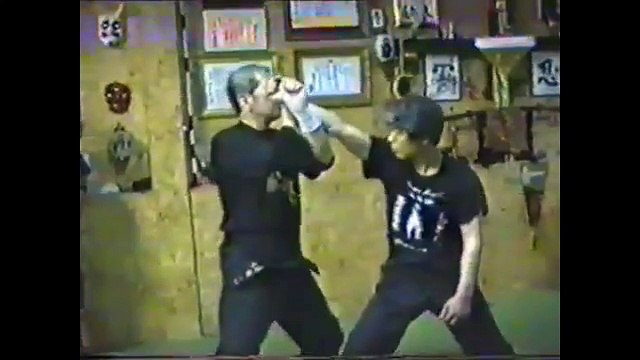 Soke Masaaki Hatsumi