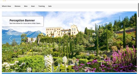 All in one Banner Pro Extension for Magento2 Platform by Perception System
