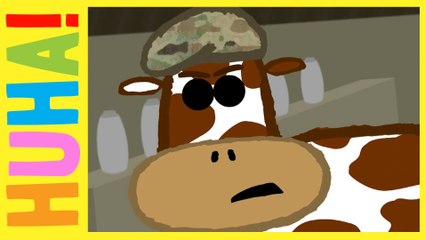 Major Beef | HuHa Short Shorts