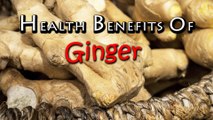 Health Benefits of GINGER