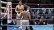 Video - Martial Arts - Tae Kwon Do vs Boxing
