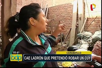 Carabayllo: detienen a ladrón que ingresó a vivienda