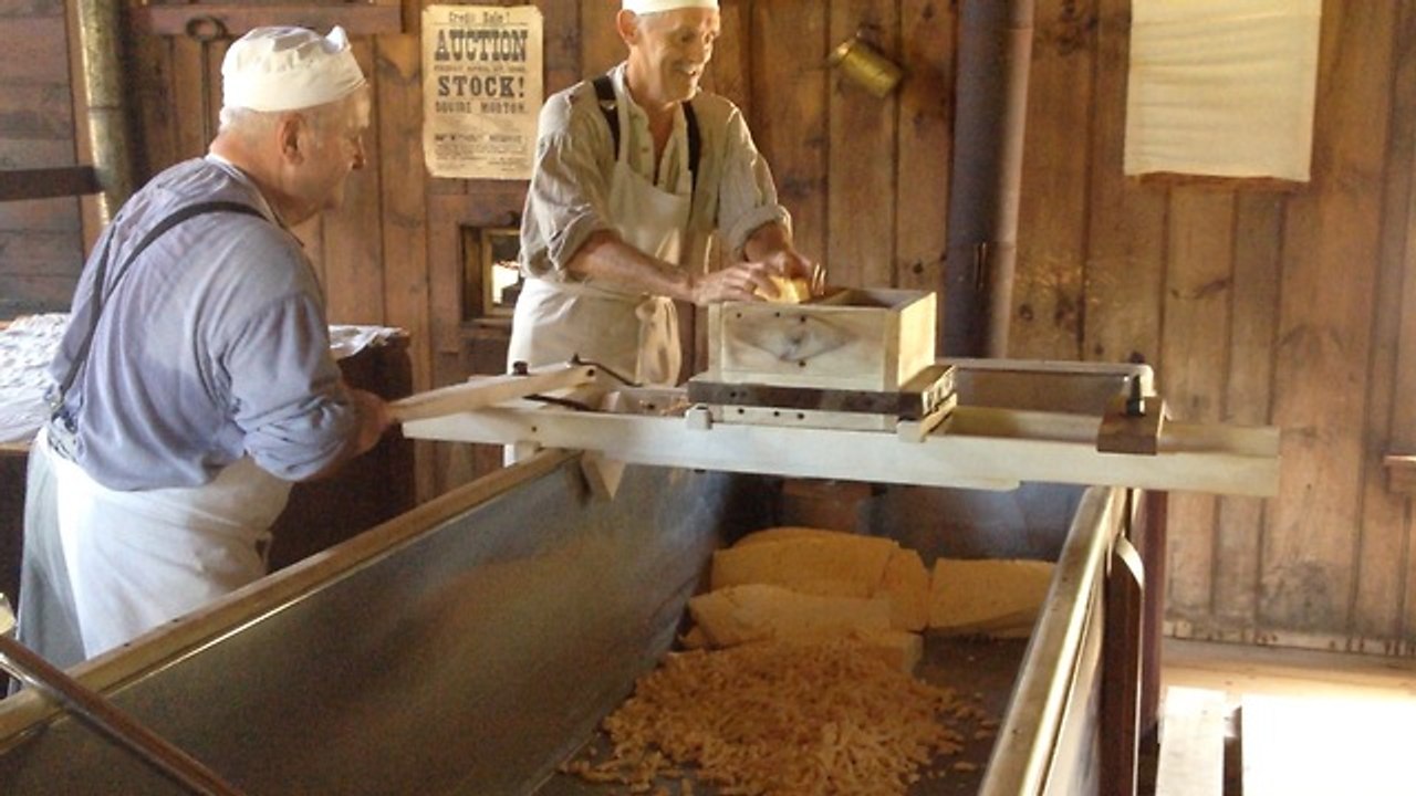 Cheese-makers cut cheese curd the old fashioned way