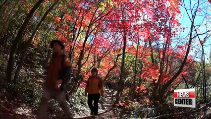 Korea promotes fall travel during two weeks of events