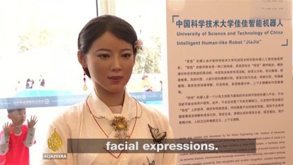 China's Robot Revolution