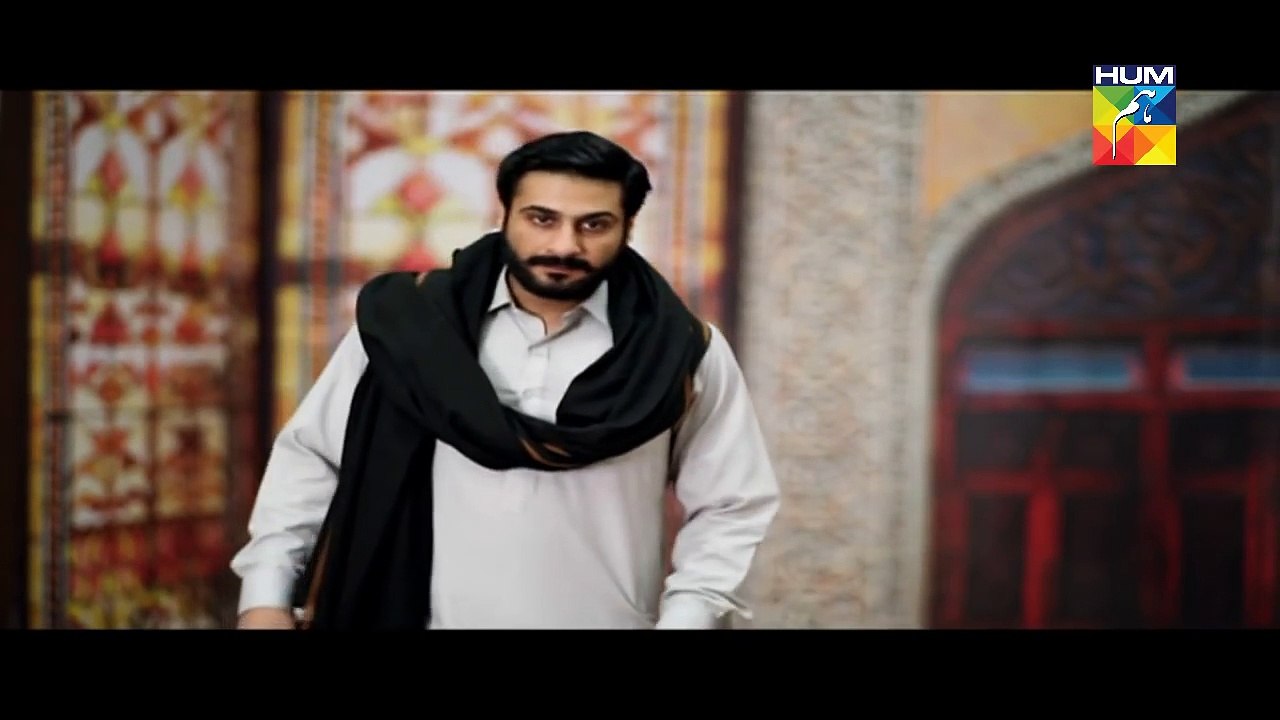 Laaj Episode 11 Full HD HUM TV Drama 15 October 2016