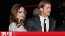 Report: Brad Pitt's Abuse Investigation Expands to Include Entire Family