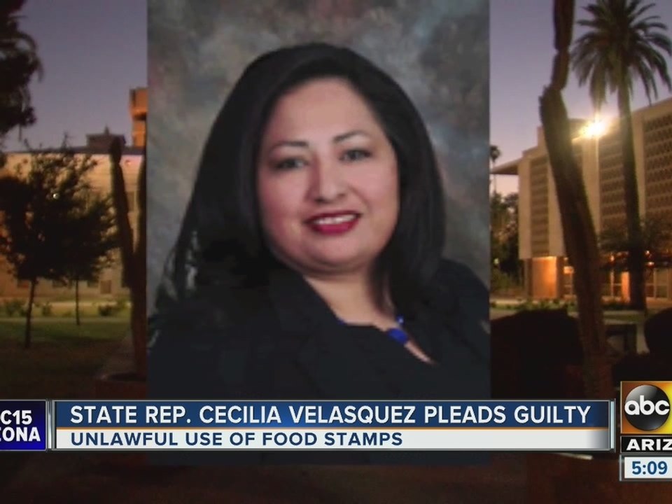 State lawmaker pleads guilty in food stamp case