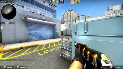 CSGO - CAT AIDS! (Counter Strike Global Offensive Gameplay!)