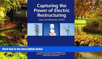 Must Have  Capturing the Power of Electric Restructuring  READ Ebook Full Ebook