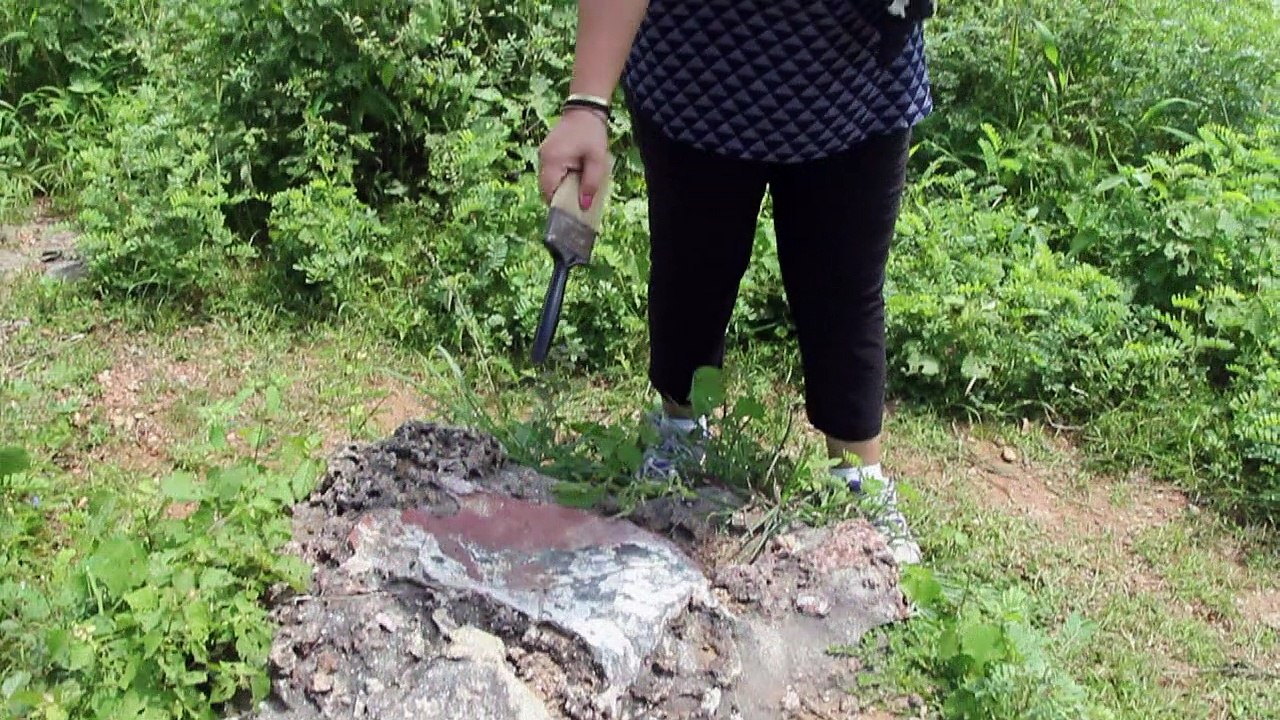 Indische Dinosaurier-Prinzessin hütet uralte Schätze