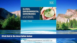 Must Have  Global Environmental Governance (New Horizons in Environmental and Energy Law Series)