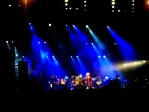 CSS@La Route du Rock 2007