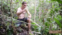 Primitive Technology Bow and Arrow