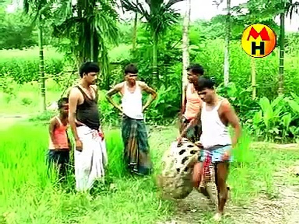 Bangla badaima bangla sale