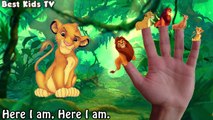 The Lion King - Finger Family Song - Nursery Rhymes The Lion King Family Finger
