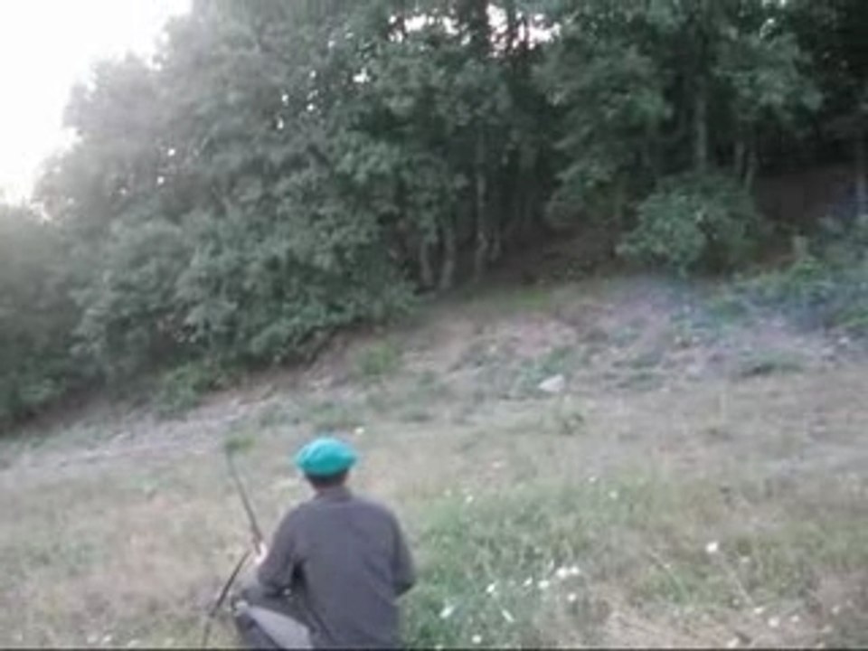 Chasse aux sanglier