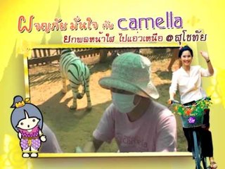 Next Camella 3 3