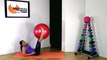 FREE Exercise Ball Stability Ball Workout - Fit Ball Inner Thighs and Abs BARLATES BODY BLITZ
