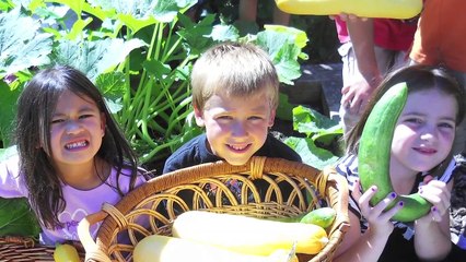 Education Video Production in Chicago