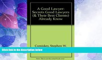 Must Have PDF  A Good Lawyer: Secrets Good Lawyers (  Their Best Clients) Already Know  Full Read
