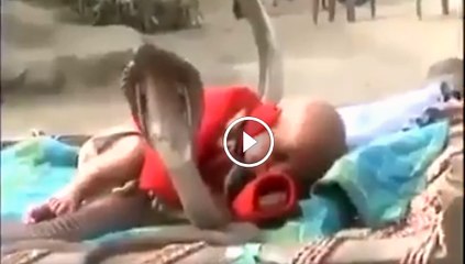 snake rescue the child