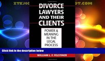 Big Deals  Divorce Lawyers and Their Clients: Power and Meaning in the Legal Process  Full Read