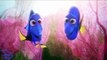 Meet Baby Dory Finding Dory 2016 Movie Clip HD