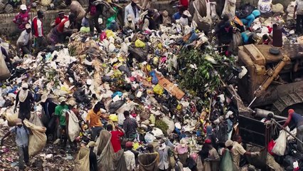 Humano - Uma Viagem Pela Vida