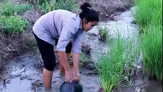 Amazig Fishing Beautiful Girl Fishing- Must Watch and Enjoy