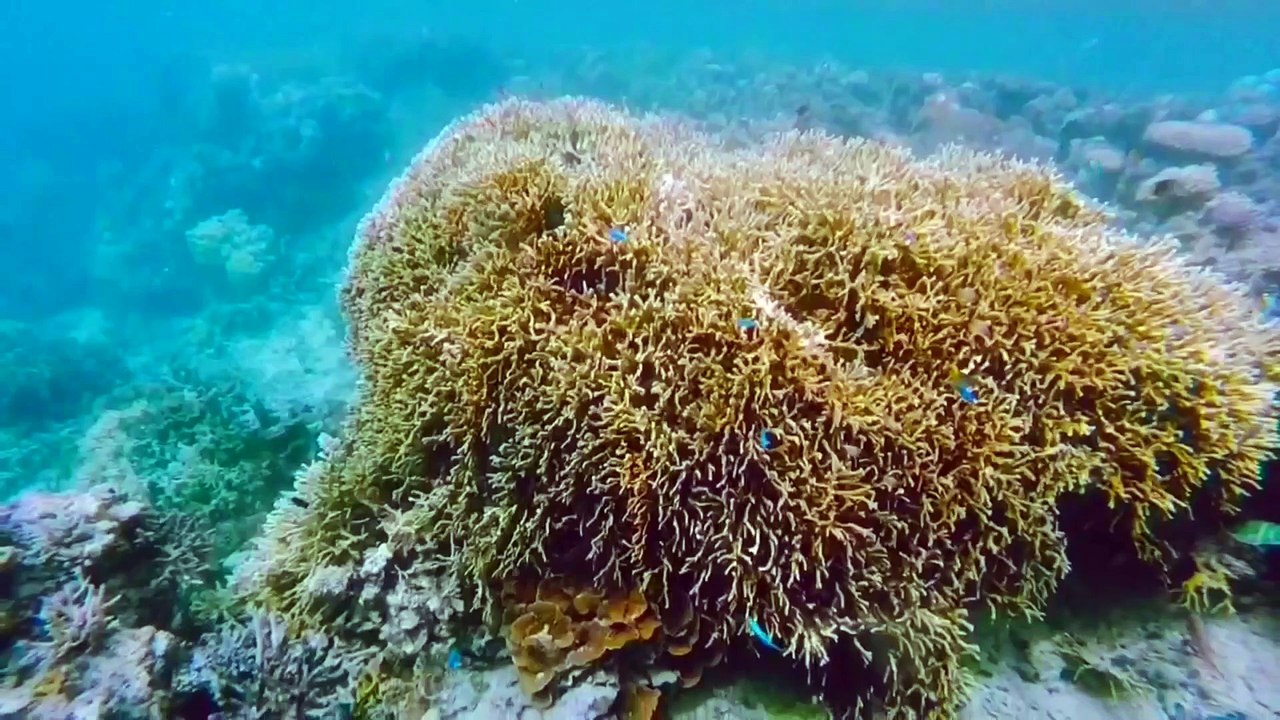 Fiji Islands, Dec 2015