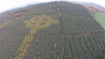 Celtic Cross Appears in Irish Forest When Viewed From Above