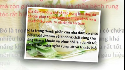 Trị rụng tóc và nấm da đầu bằng nha đam rất hiệu nghiệm
