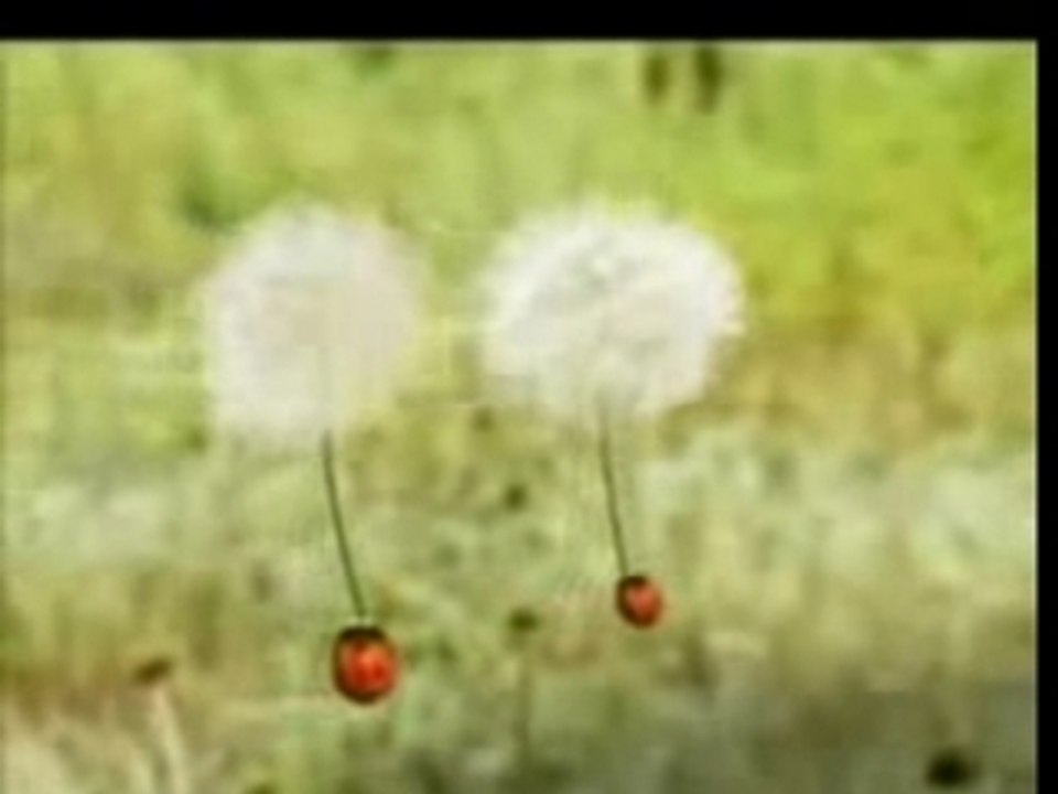 2raumwohnung - 36grad