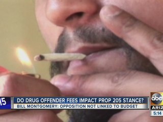 One of the most vocal opponents of Prop 205 could lose big bucks if marijuana is legalized